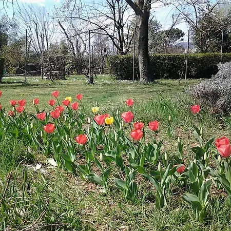 Guest house La Patirana Zandobbio